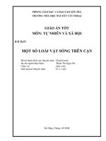 Tự nhiên xã hội lớp 2