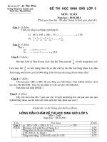 De thi HSG lop 5 (Toan +TV)
