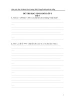 ĐỀ THI HỌC SINH GIỎI LỚP 5 số 9