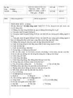 TV5-GKI-2010-1011-HG