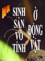 bai 44 sinh san vo tinh