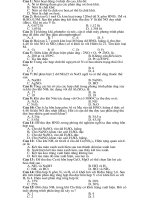 kiểm tra trắc nghiệm kỳ 1 hoá 11