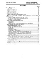 SKKN - Chỉ đạo Dạy tốt - Học tốt (Năm học 2004 - 2005)