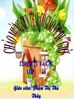 Dấu ngoặc kép(tuần 8)