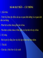Bai 40_Hat tran - cay Thong
