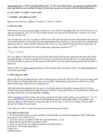 Axit nuclêic gồm có ADN.doc