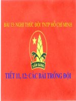 bai trống đội