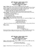 tuyên tập21 đề thi HSG TV lơp 5