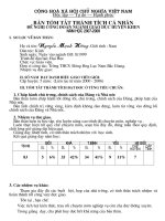 bao cao thanh tich ca nhan vip chi viec in