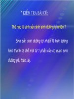 SS SINH DƯỠNG DO NGƯỜI