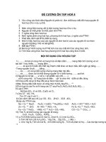 đề cương ôn tập hóa 8