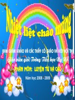 Luyện tập về từ nhiều nghĩa