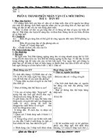 giáo án địa 7 hay