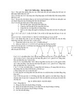 các chuyên đề chương 3