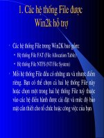 Các hệ thống File được Win2k hỗ trợ