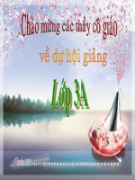 Bài 12- Cơ quan thần kinh