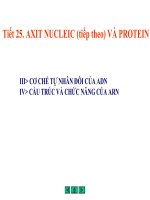 Tiết 25. Axit Nuclêic (tt)