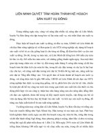 LIÊN MINH QUYẾT TÂM HOÀN THÀNH KẾ HOẠCH vụ đông 2010.doc