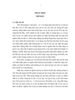 Bước đầu nghiên cứu tập tính dinh dưỡng của thỏ địa phương khi sử dụng thức ăn mới   cây chromolaena odorata làm thức ăn bổ sung 