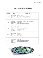 Giáo án lớp 1 tuần 13