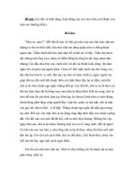 tả hình dáng con mèo 1