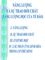 Năng lượng và sự trao đổi chất