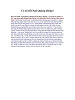 Có ai biết Ngũ Quảng không