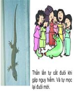 sinh san vo tinh o dong vat