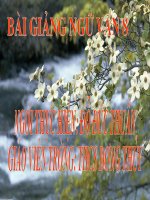 TỨC NƯỚC VỠ BỜ (Tắt đèn - Ngô Tất Tố)