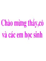 T28 Tiêu hoa ở dạ dày