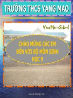 luat bao ve moi truong