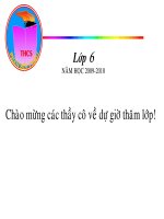 HỘI GIẢNG TỈNH HẢI DƯƠNG SINH HỌC 6