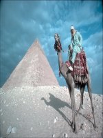 bai 6 hai duong thang song song