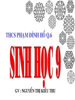 Bài 19: Quan hệ gen và tính trạng