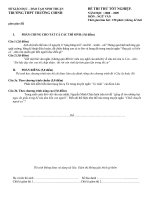 Đề thi TN Văn 12- Ninh Thuận