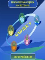 Phát sinh giao tử và thụ tinh