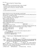 Đề thi Tiếng Việt - 1tiết