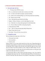 File System and Disk Administration