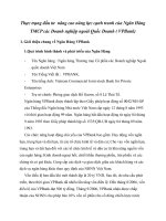 Thực trạng đầu tư  nâng cao năng lực cạnh tranh của Ngân Hàng TMCP các Doanh nghiệp ngoài Quốc Doanh