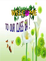 Unit 11 - What do you aet ?