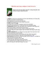 Phân biệt expect, hope, anticipate và look forward to