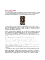 Giá trị của Mật ong