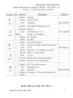 Tuần 11 lớp 2 SN