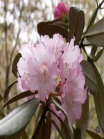 Bài 10: Tính tích cực, tự giác trong hoạt động