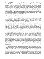 Quảng Trị- Tiềm năng con người - đất đai - khoáng sản và cơ sở hạ tầng