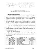 Kế hoạch tự đánh giá CLGD năm 2010