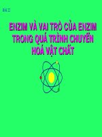 Bài 22: ENZIM VÀ VAI TRÒ CỦA ENZIM