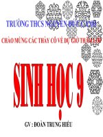 Quan he gen va tinh trang