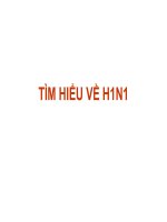 Tìm hiểu vius H1N1