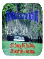 Tiết 132 - Tổng kết phần Văn